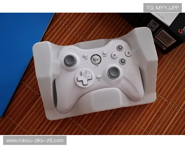 开云Kaiyun电游官网多样化游戏类型满足不同玩家的娱乐需求和刺激体验